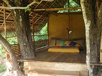 Back of Beyond - Dehigaha Ela - Damba Tree House