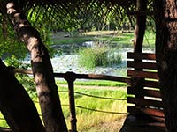 Back of Beyond - Dehigaha Ela - View from Tree House