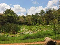 Back of Beyond - Dehigaha Ela - Lake at Center