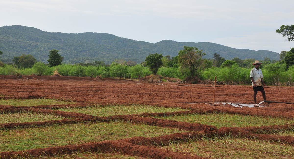 Dehigaha Ela