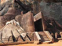 Sigiriya Lions paws