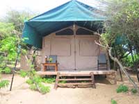 Dune Camp - Yala - Aliya (Elephant) Tent