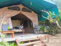 Dune Camp - Yala-  Aliya (Elephant) Tent