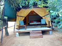 Dune Camp - Yala- Kesbewa (Turtle)  Tent