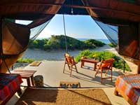 Dune Camp - Yala- Kotiya (Leopard) Tent