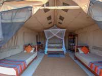 Dune Camp - Yala-  Kotiya (Leopard) Tent
