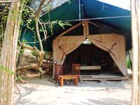 Dune Camp - Yala - Muwa (Deer) Tent