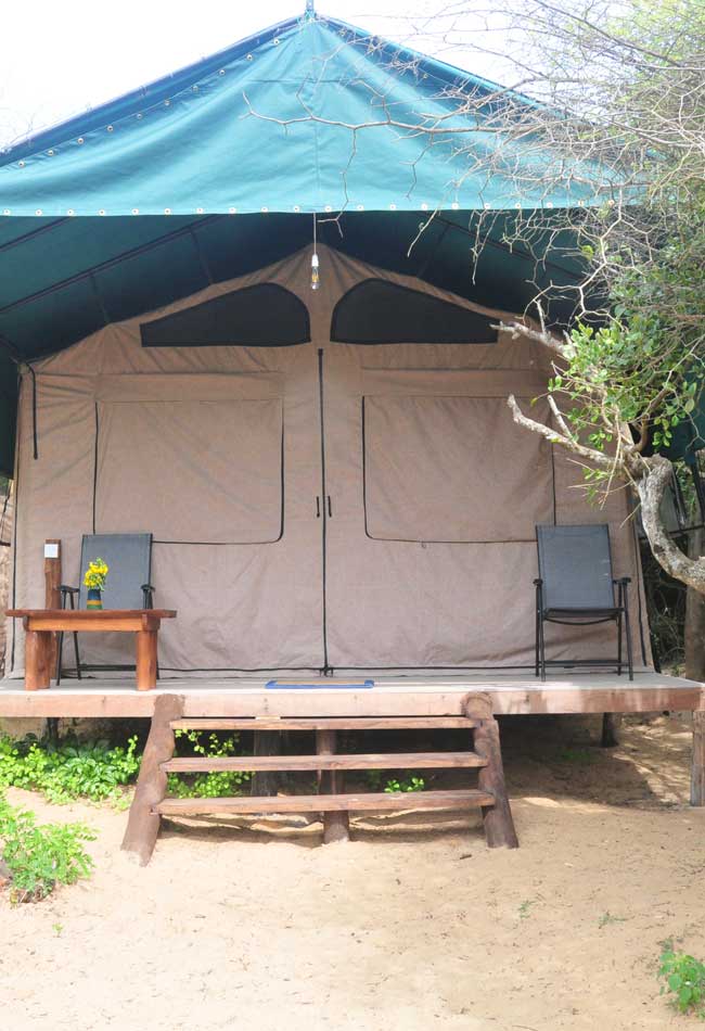 Dune Camp - Yala- Accommodation