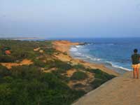 Dune Camp - Yala