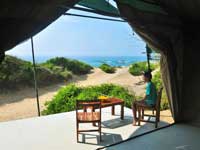 Dune Camp - Yala