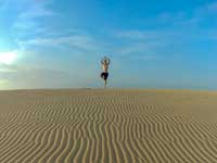 Dune Camp - Yala- Things to do