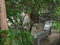 Outdoor Bench - Siyambala Bungalow