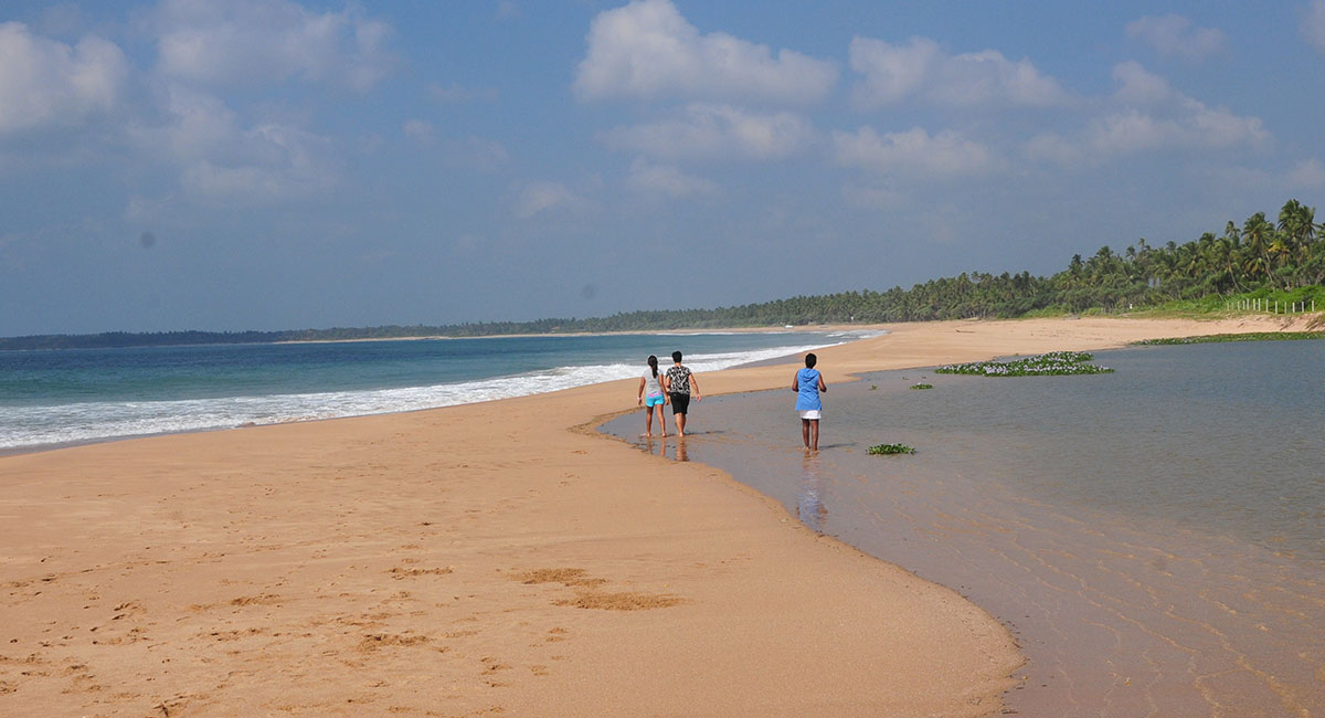 Wellness Retreat Gallery - Beach 