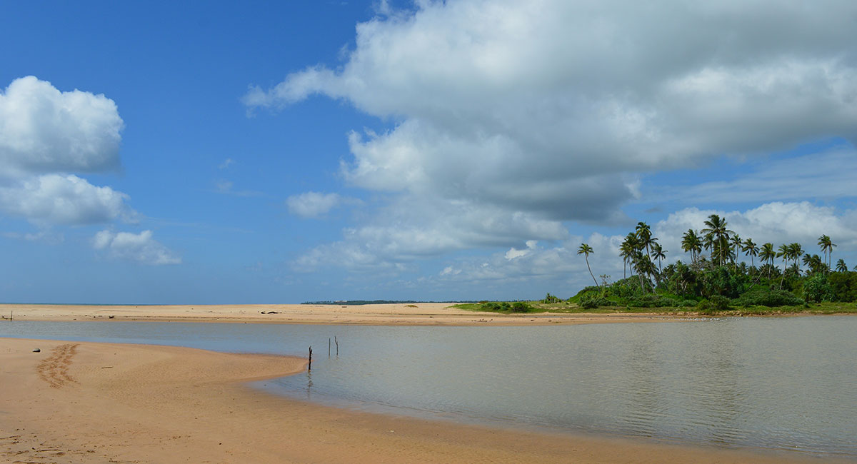 Wellness Retreat Gallery - Estuary and Beach