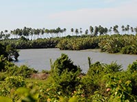Lagoon View