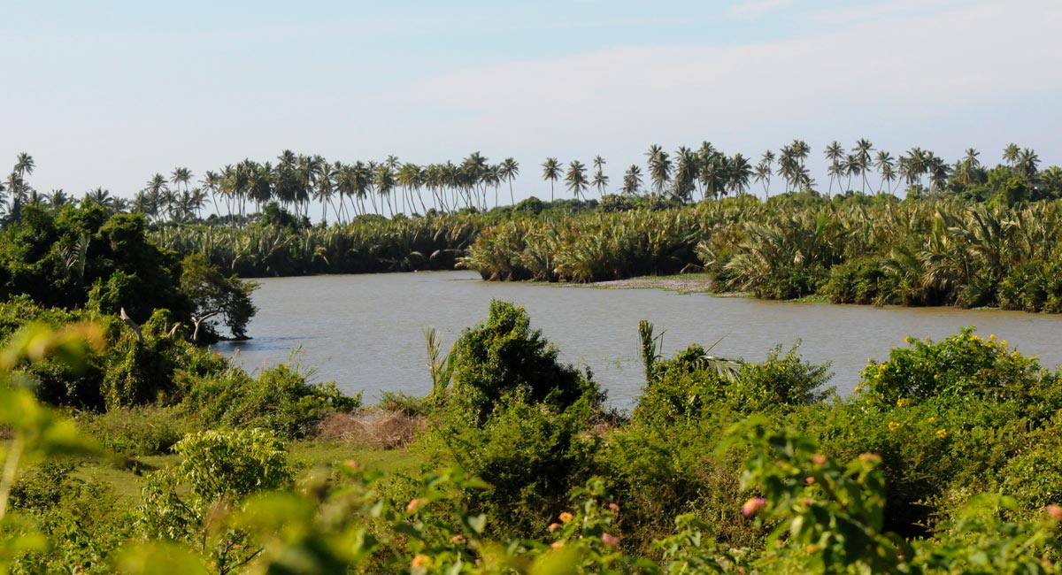 Lagoon View