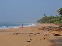 Secluded beach near our property