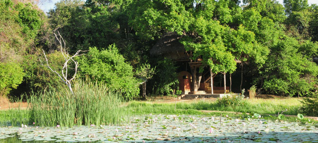 Dehigaha Ela - Sigiriya