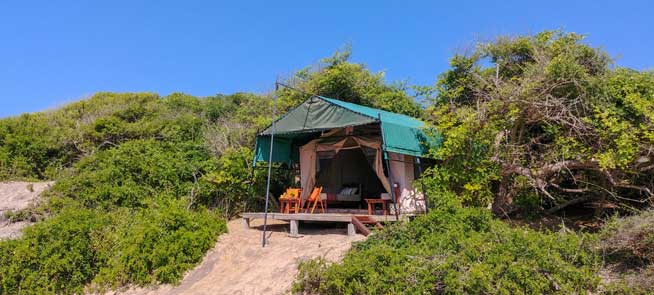 dune camp - Yala