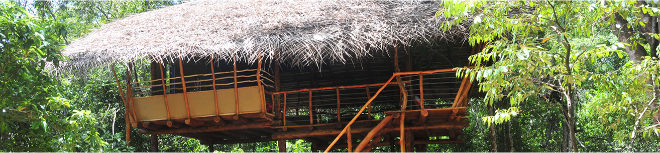 Pidurangala - Sigiriya