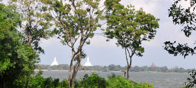 Waters Edge - Anuradhapura