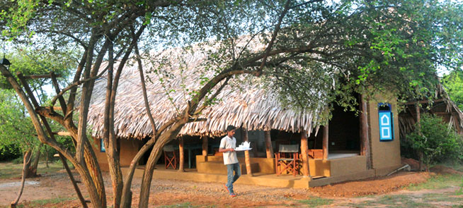 Safari Lodge - Yala