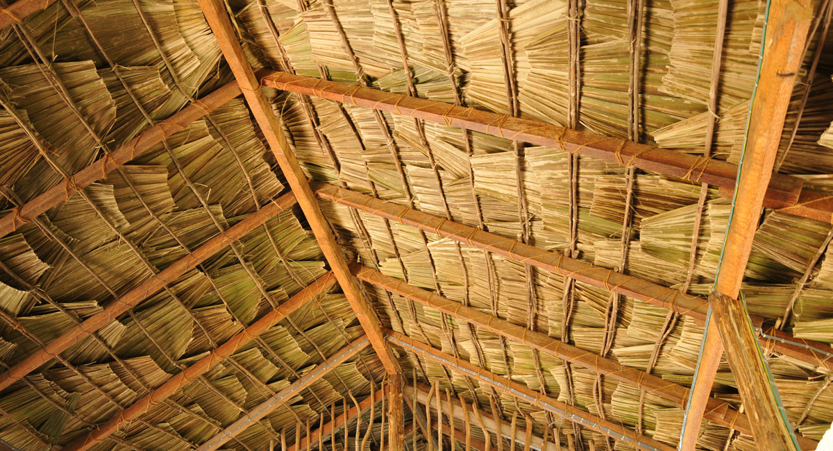 Safari Lodge Yala Roof