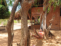 Hanging Under The Malittan Tree