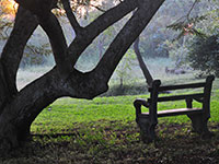 Garden Bench