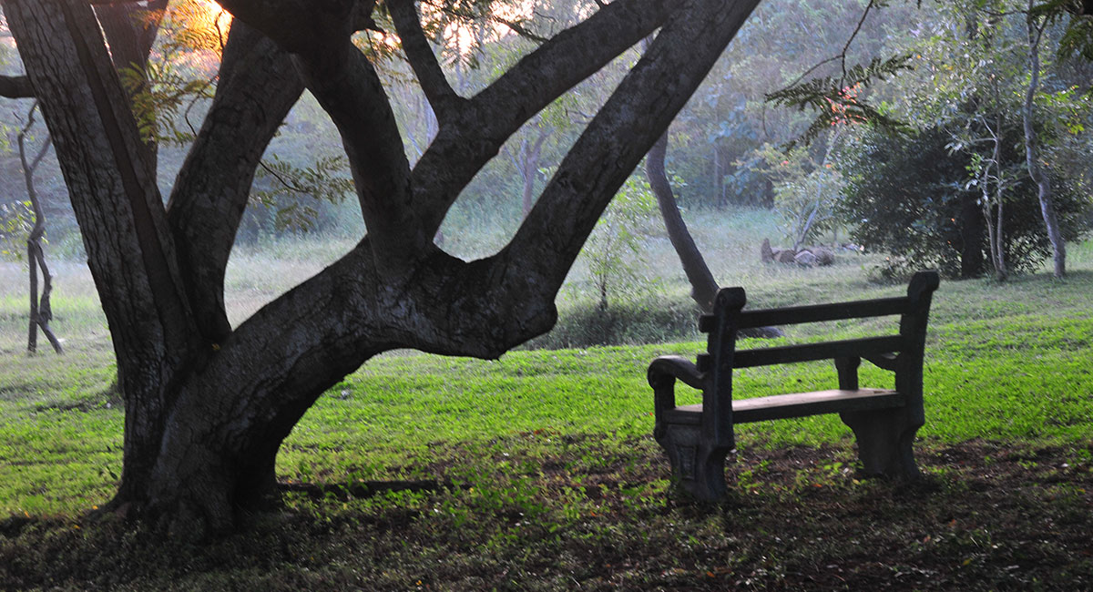 garden bench