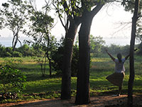 Morning Garden