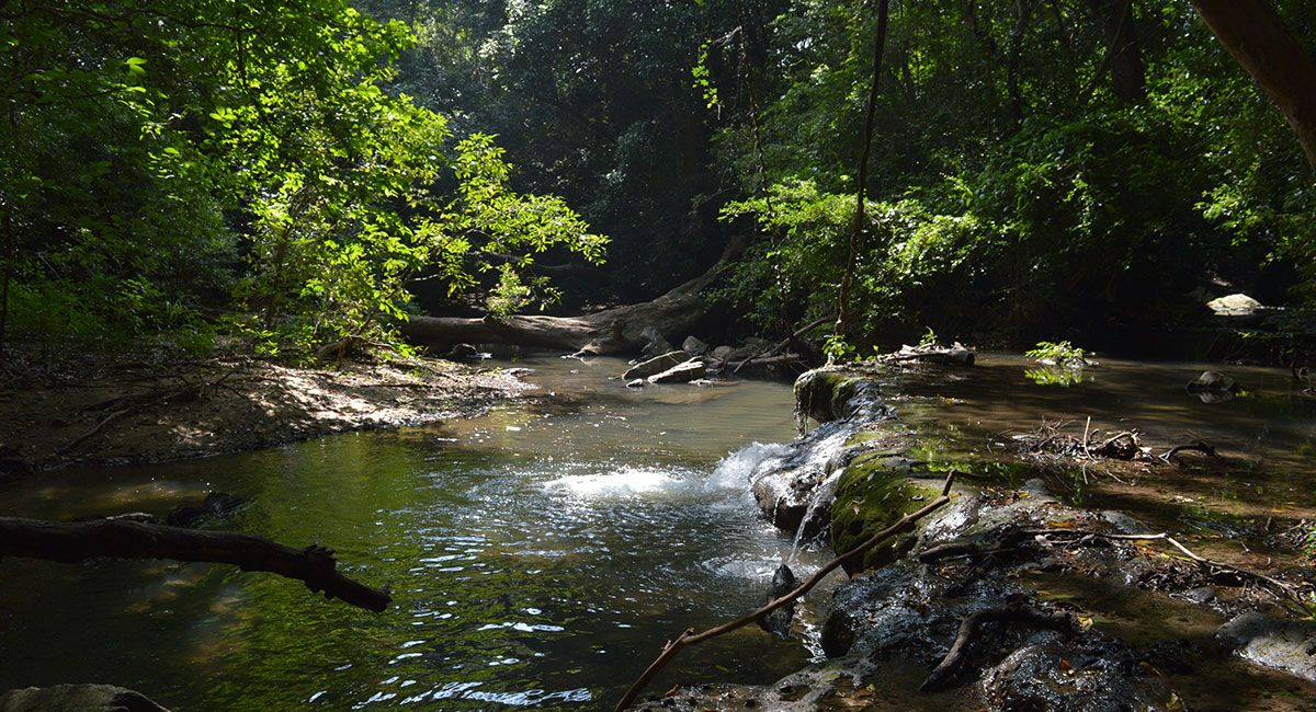 Dehigaha Ela