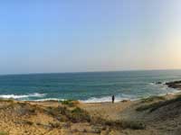 Dune Camp - Yala- Things to do