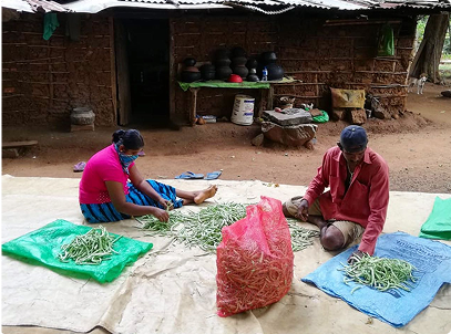 Supporting local livelihoods